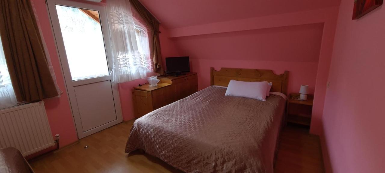 Pensiunea Aurora - Great Hostel Voineasa Eksteriør bilde