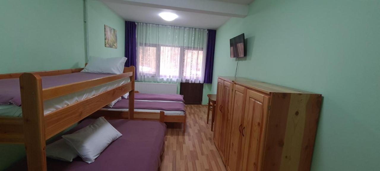 Pensiunea Aurora - Great Hostel Voineasa Eksteriør bilde