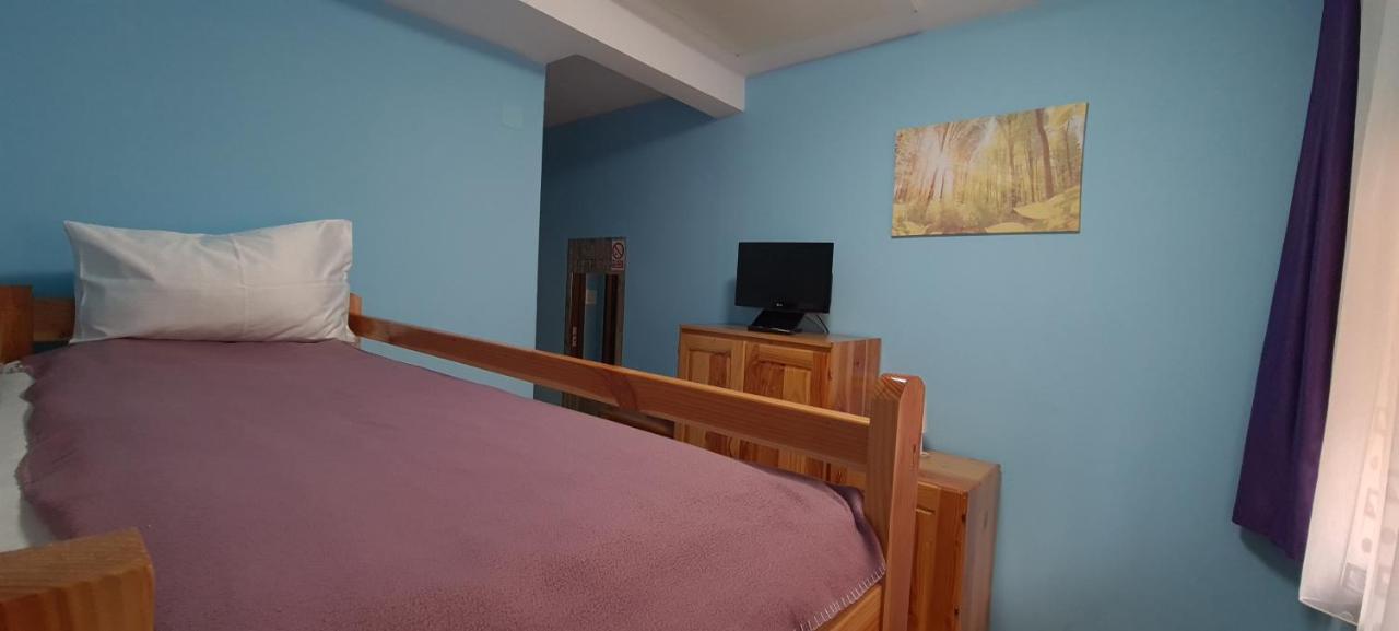 Pensiunea Aurora - Great Hostel Voineasa Eksteriør bilde