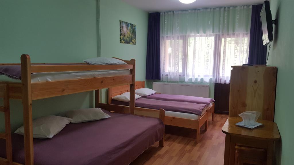 Pensiunea Aurora - Great Hostel Voineasa Eksteriør bilde
